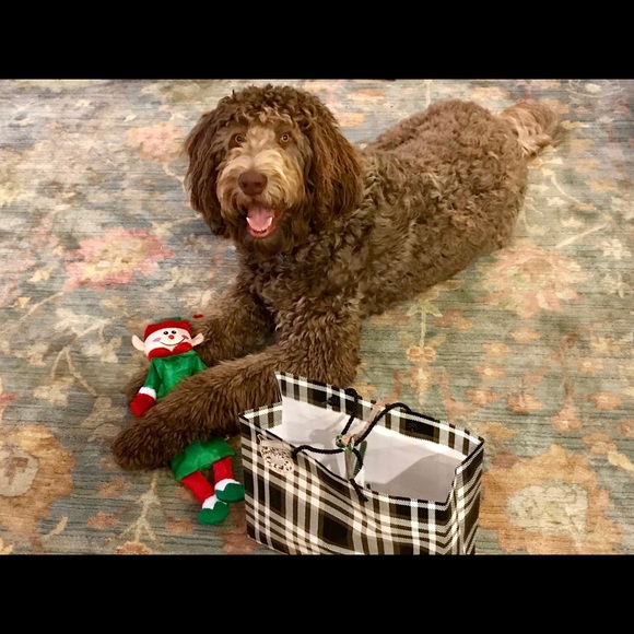 Meet your Posher, Chrissy - Picture 2 of 3